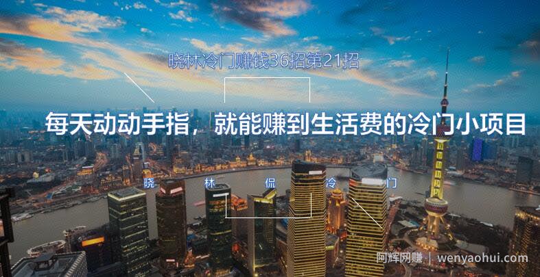 晓林冷门賺米36招第21招每天动动手指，就能赚到生活费的冷门小项目【视频课程】