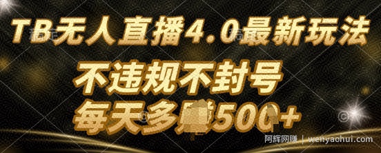TB无人直最新玩法，不违法不封号