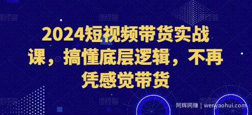 2024短视频带货实战课，搞懂底层逻辑，不再凭感觉带货