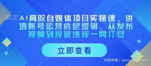 AI高阶自媒体项目实操课，讲透账号运营底层逻辑，从发布视频到规避违规一网打尽