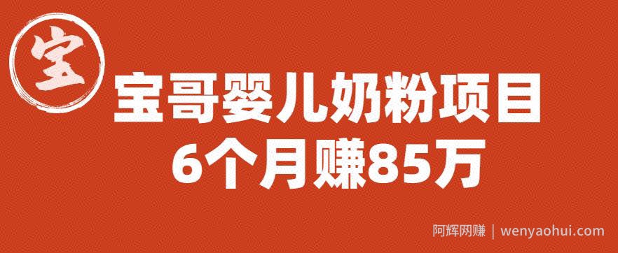 宝哥婴儿奶粉项目，6个月赚85w【图文非视频】【揭秘】