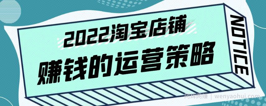 震宇老师·2022年淘宝店铺賺米的运营策略，一套能够盈利的賺米打法
