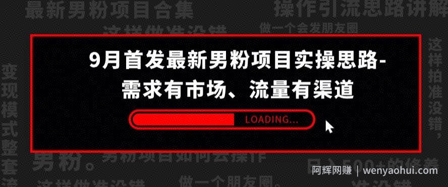 9月首发最新男粉项目实操思路-需求有市场，流量有渠道【揭秘】