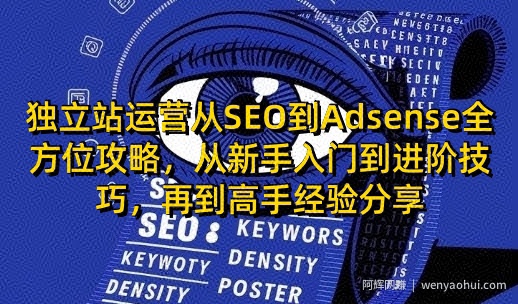 独立站运营从SEO到Adsense全方位攻略，从新手入门到进阶技巧，再到高手经验分享