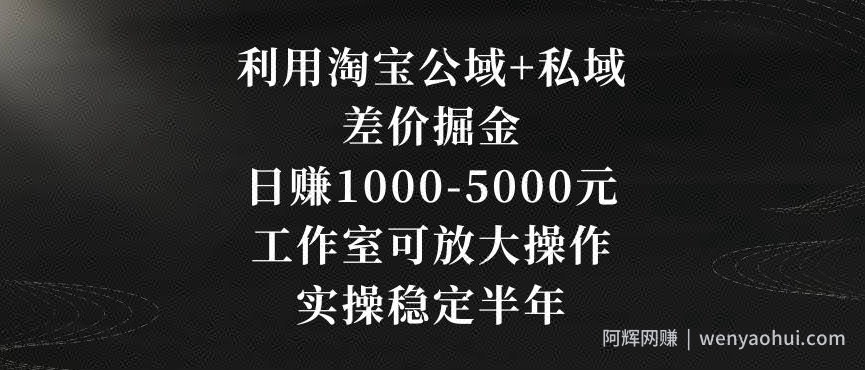 利用淘宝公域+私域差价掘金，日赚1000-5000元，工作室可放大操作，实操稳定半年【揭秘】