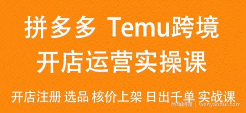 2024Temu最新玩法，Temu跨境开店运营实操课，开店注册/选品/核价上架/日出千单实战课