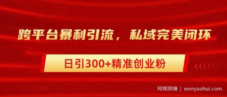 跨平台暴力引流，私域完美闭环，日引100+精准创业粉