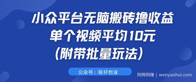 小众平台无脑搬砖撸收益 单个视频平均10元 (附带批量玩法)