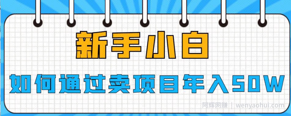 新手小白如何通过卖项目年入50W【揭秘】