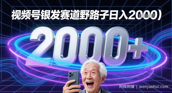蝴蝶号银发赛道流量密码野路子日入多张