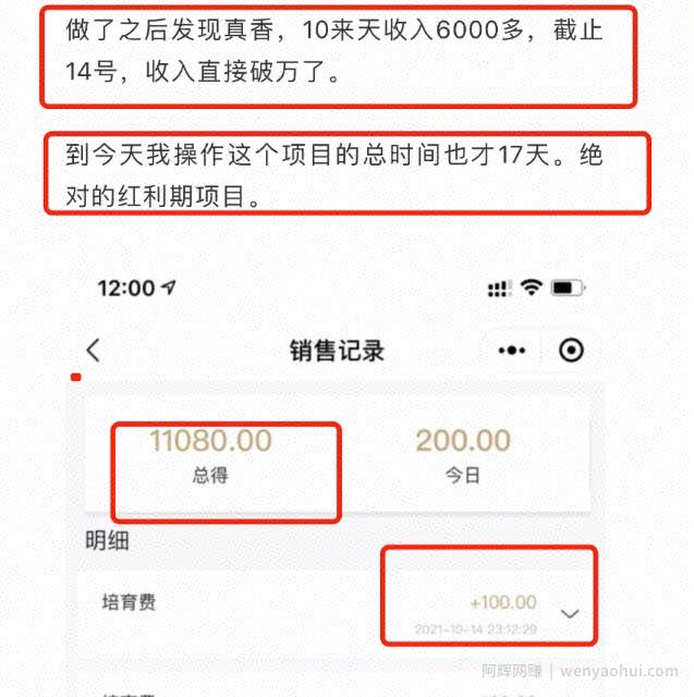 红利期賺米项目，简单操作，17天收入11000