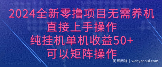 2024全新零撸项目，无需养机，直接上手操作 纯挂JI，单机收益50+，可以矩阵操作