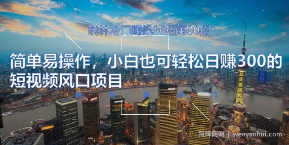 晓林冷门賺米36招第30招简单易操作，小白也可轻松日赚300的短视频风口项目【视频课程】