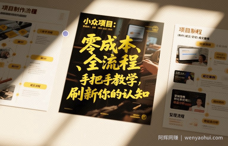小众项目：零成本、全流程（制作-成交-变现）手把手教学，刷新你的认知