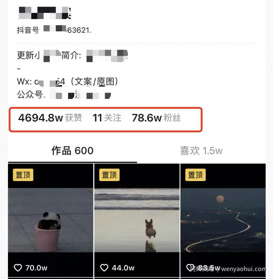 抖音傻瓜式批量搬运引流，人人都可以月入上万賺米项目