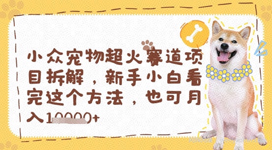 小众宠物超火赛道项目拆解,新手小白看完这个方法,也可月入过w