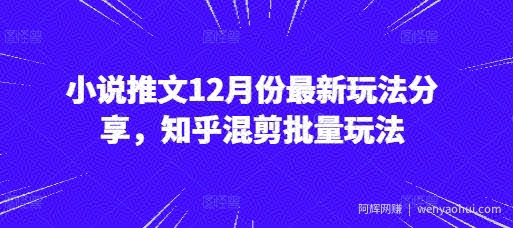 小说推文12月份最新玩法分享，知乎混剪批量玩法