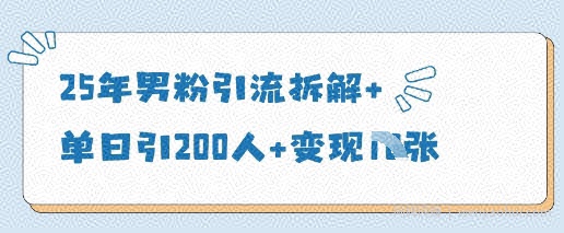 25年男粉引流拆解+单日引200人+变现多张