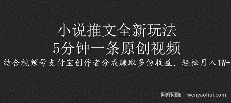 小说推文全新玩法，5分钟一条原创视频，结合视频号支付宝创作者分成赚取多份收益，轻松月入1W+