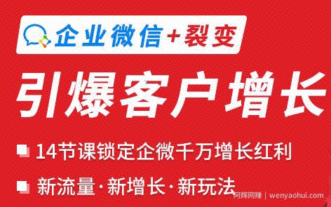 企业微信裂变增长实战课：企业微信+裂变，搞定企业微信千万增长