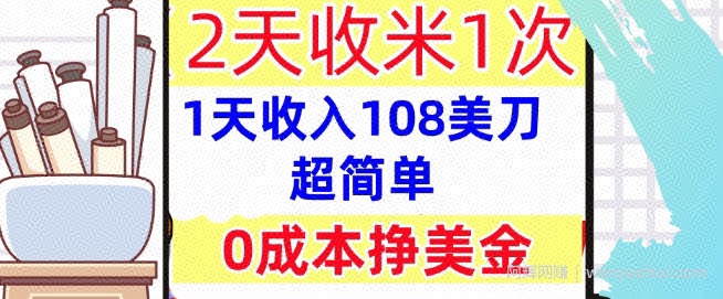 0成本挣美金，超简单，1天收入108刀，2天收米一次，实战教程，首次公开