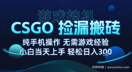 8月最新游戏搬砖，CSGO纯挂G，不需要玩游戏，实现真挂G，月入1W+【揭秘】