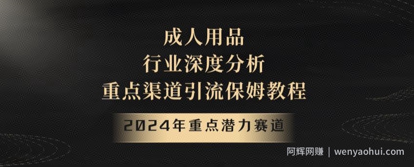 2024年重点潜力赛道，成人用品行业深度分析，重点渠道引流保姆教程【揭秘】