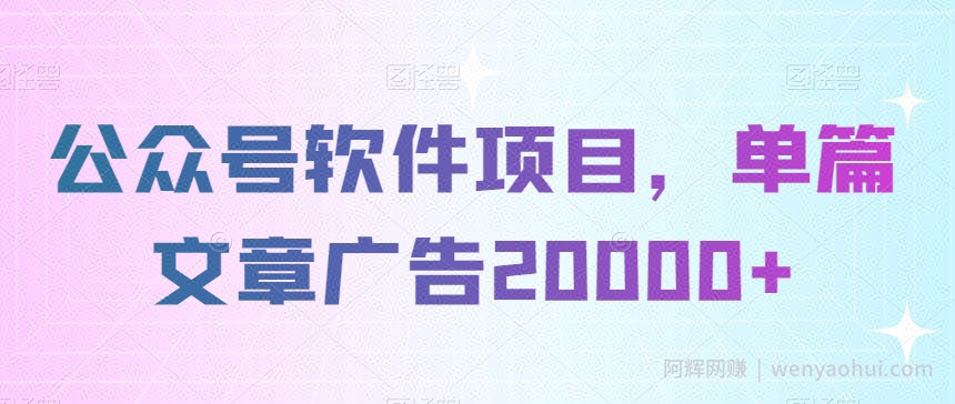 公众号软件项目，单篇文章广告20000+