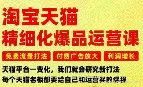 淘宝天猫精细化爆品运营课，免费流量打法-付费广告放大-利润增长-三大核心痛点，一次全部解决