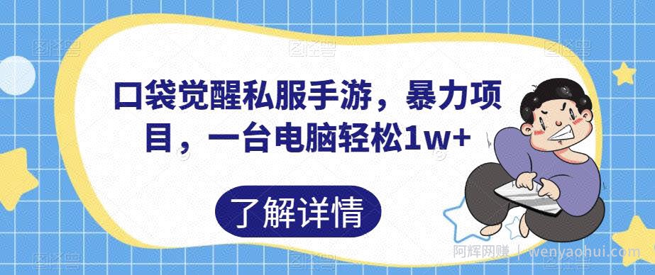 口袋觉醒私服手游，暴力项目，一台电脑轻松1w+【揭秘】