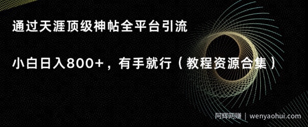 天涯顶级神帖项目，全平台引流小白日入800+，有手就行(内含教程资源合集)