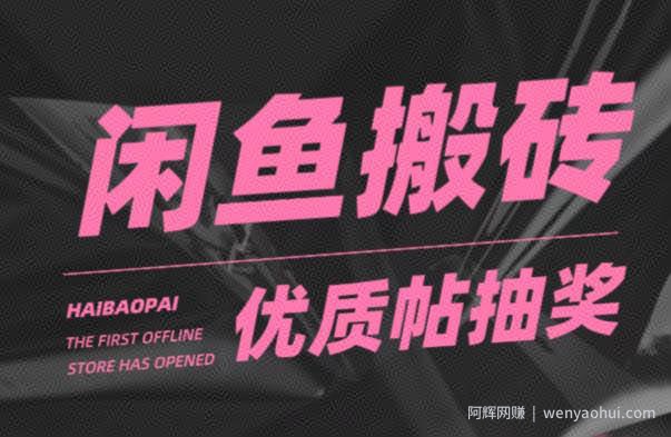 闲鱼优质帖搬砖，单号一天赚个二三十没问题，多号多撸