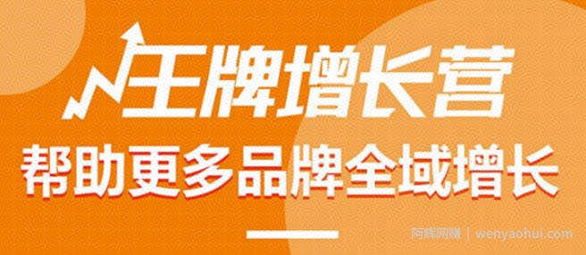 【王牌增长营】帮助更多电商品牌全域增长，月销百万实操干货，价值899元