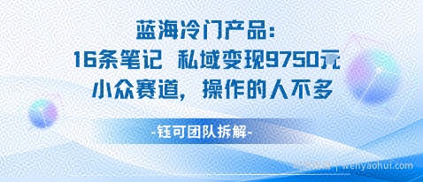 蓝海项目：16条笔记私域变现9750米小众赛道操作的人不多