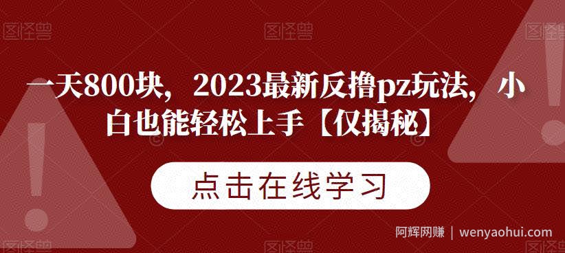 一天800块，2023最新反撸pz玩法，小白也能轻松上手【仅揭秘】