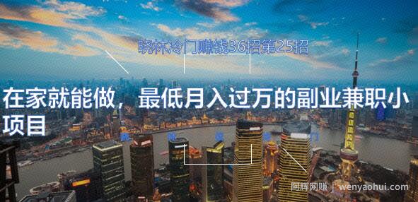 晓林冷门賺米36招第25招在家就能做，最低月入过万的副业兼zhi小项目【视频课程】