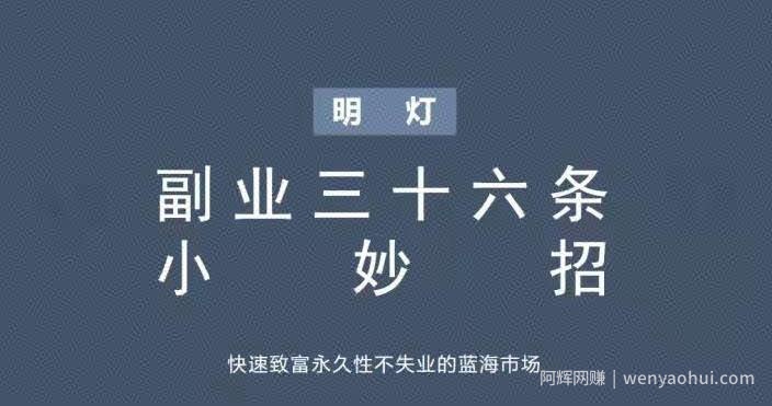 明灯副业三十六条小妙招之第八招快速致富永久性不失业的蓝海市场