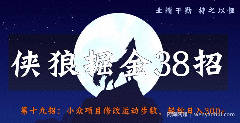 侠狼掘金38招第20招羊毛全自动采集站，点爆你的精准流量【视频课程】
