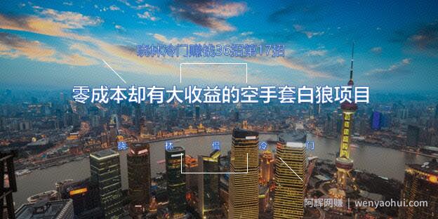 晓林冷门賺米36招第17招零成本却有大收益的空手套白狼项目【视频课程】