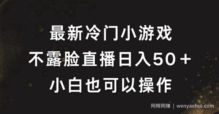 最新冷门游戏不露脸直播，轻松日入50+，小白也可操作