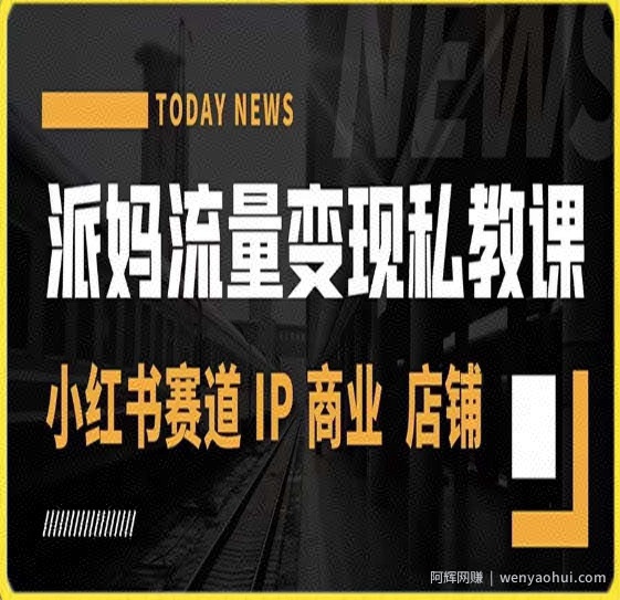 派妈流量变现私教课，小红书赛道IP  商业  店铺 