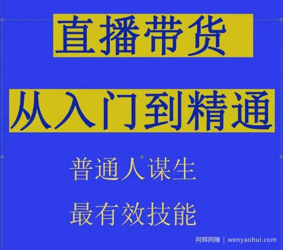 2024抖音直播带货直播间拆解抖运营从入门到精通，普通人谋生最有效技能