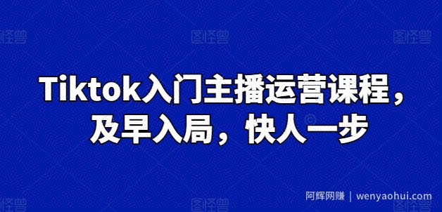 Tiktok入门主播运营课程，及早入局，快人一步