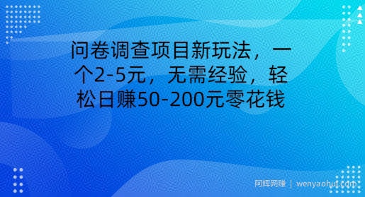 问卷调查项目新玩法，一个2-5元，无需经验，轻松日赚50-200元零花钱