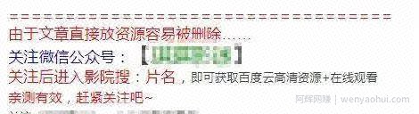 低成本高回报的共享经济暴利网创项目