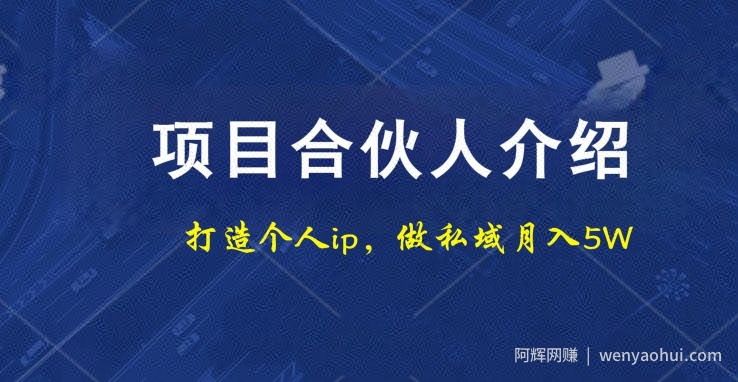 项目合伙人项目,打造个人IP,做私域月入5W,小白勿扰