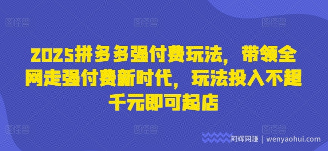2025拼多多强付费玩法，带领全网走强付费新时代，玩法投入不超千元即可起店