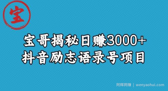 宝哥揭秘日赚3000+抖音励志语录号短视频变现项目