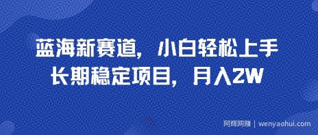 蓝海新赛道，小白轻松上手，长期稳定项目，月入2W