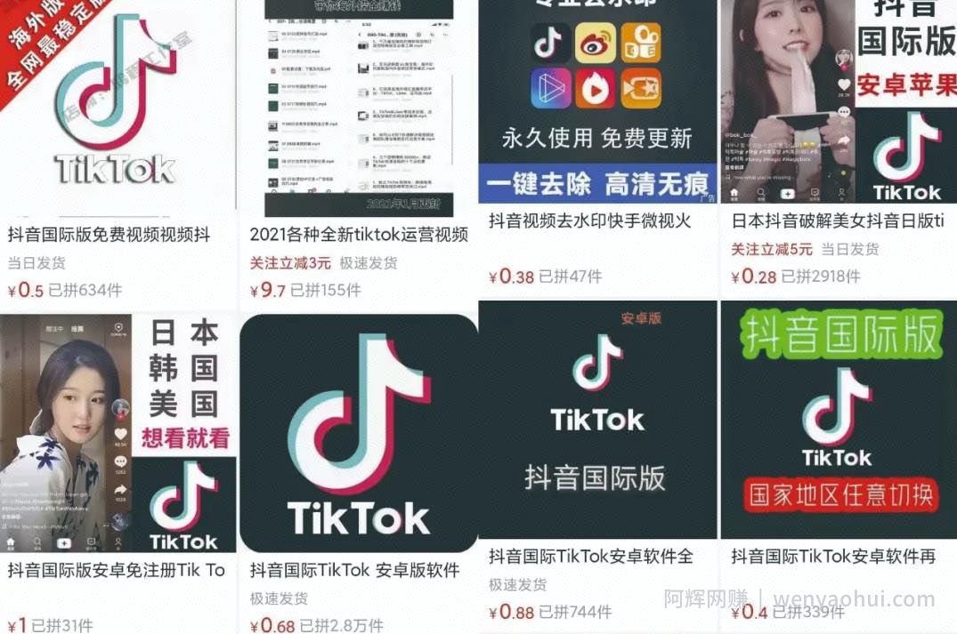 Tiktok賺米术，无脑短视频搬运也能月赚过万
